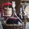 Drożdże Bayanus + pożywka - Uniwersalne - 21%, 17 g - 14 ['drożdże winiarskie', ' drożdże Bayanus', ' do wina czerwonego', ' do wina białego', ' do wina z winogron', ' do wina różowego', ' pożywka dla drożdży', ' do wina owocowego', ' mocne wino', ' 21%']